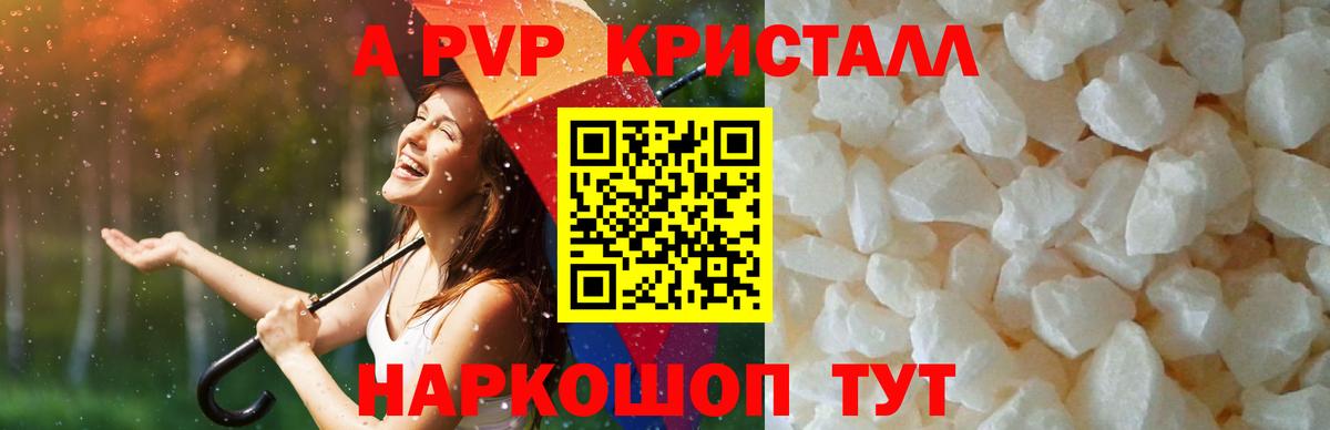 A PVP СК Пятигорск