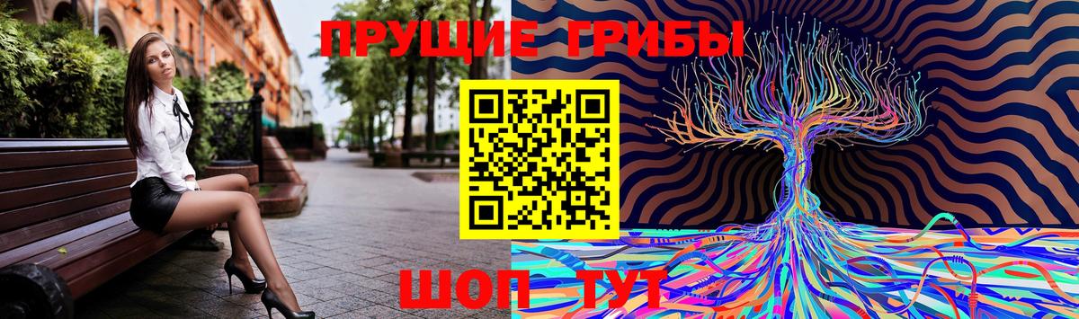 Галлюциногенные грибы Cubensis Пятигорск