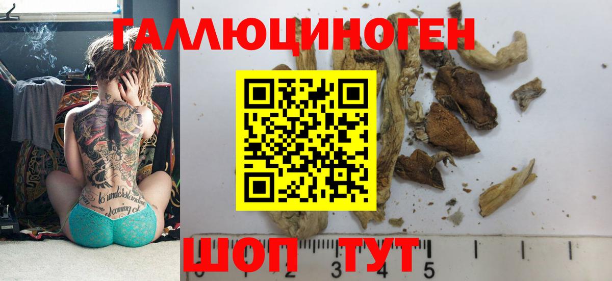 Пятигорск  Галлюциногенные грибы Magic Shrooms  Псилоцибиновые грибы Psilocybe  Вход с VPN 