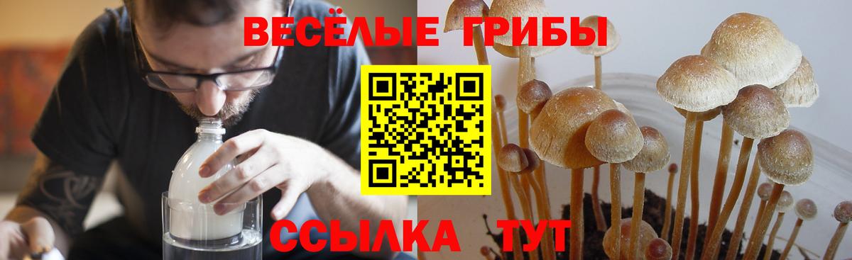 Галлюциногенные грибы мицелий Пятигорск